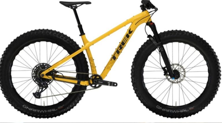Best-Fat-Tire-Bikes-Guide: Everything You Need to Know About Fat-Tire E-Bikes